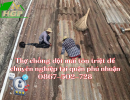Thợ chống dột mái tôn triệt để chuyên nghiệp tại quận phú nhuận